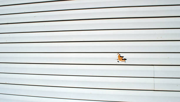 Trusted Clear Lake, WI Siding Installation & Repair Experts
