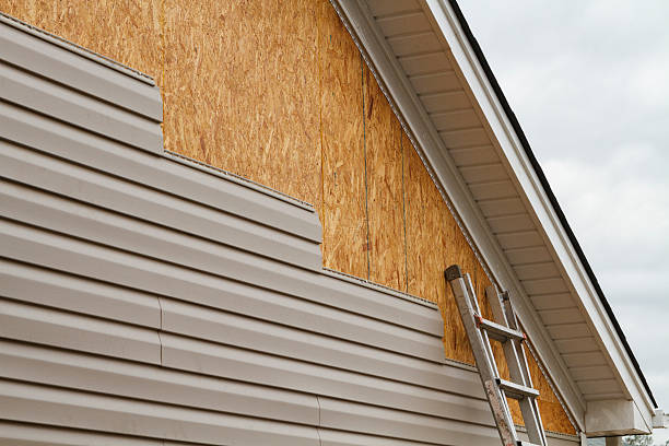 Best Custom Siding Design  in Clear Lake, WI